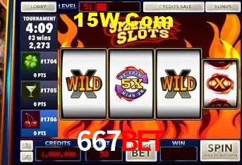 667Bet - User Statistics
